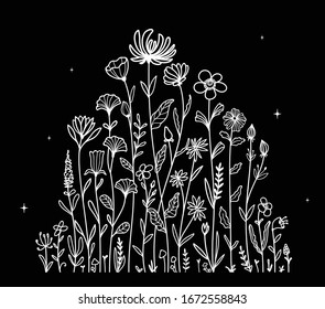 illustration vector graphic of flower hand drawn