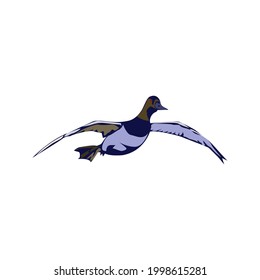 Illustration Vector Graphic of Flying Bird Design