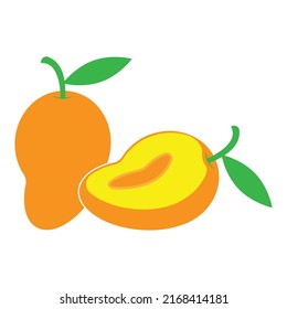 illustration vector graphic of fresh mango and sliced ​​mango good for icon and kids coloring book 