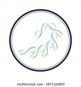 illustration vector graphic of genetic dna logo and icon good for science, research, technology, biology icon
