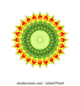 ilustración vectorial de diseño de Mandala geométrica.  Decoración de flores de Mandala. para el logotipo, icono o símbolo, etc