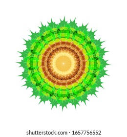 illustration vector graphic of Geometric Mandala Design. Circular ornament design element. Mandala flower decoration. fit for logo, icon or symbol, etc