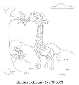  ilustración vectorial gráfico del libro de coloreado de jirafa. perfecto para los niños.