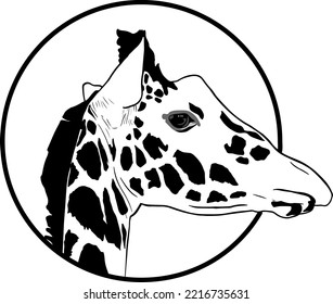 Illustration vector graphic of Giraffe, fit for logo, design resources 