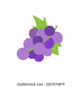 illustration vector graphic of grape for vitamin,nutrition product