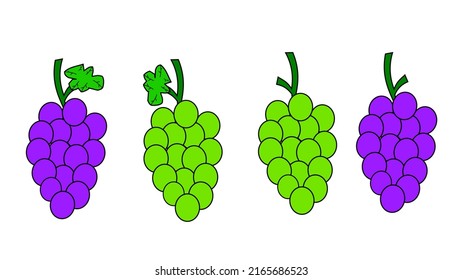 illustration vector graphic of grapes fruit on white background, vector of grapes on a white background perfect for design beckground grapes