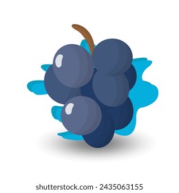 Ilustración vector gráfico de uvas y salpicaduras de agua azul