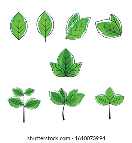 illustration vector graphic of green leaf color shapes can be use for any project design
