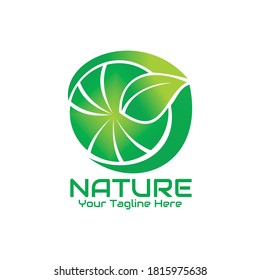 ilustración vectorial de círculo de hoja verde, perfecto para la naturaleza, la ecología, la bio, la botánica, la hierba, etc.