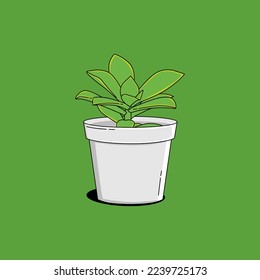 illustration vector graphic of a  green potted succulent plant perfect for a home decoration concept