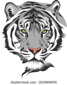 Illustration vector graphic of head tiger fit for t-shirt design or merchandise