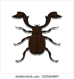 Illustration vector graphic of horn beetle. Good for book contents