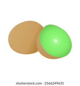 Illustration vector graphic of kiwi fruit isolated on white.