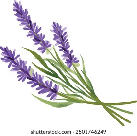 Ilustración Vector gráfico de lavanda. Bueno para el diseño floral.