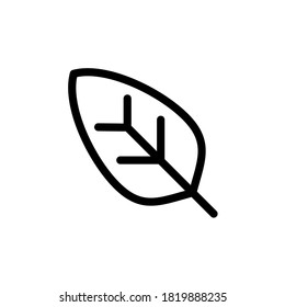 
Illustration Vector graphic of leaf icon