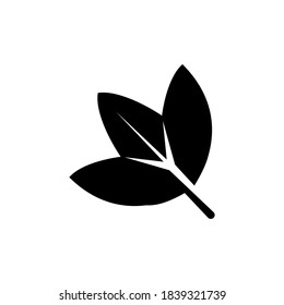 Illustration Vector graphic of leaf icon