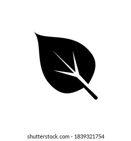 Ilustración Gráfico vectorial del icono de hoja