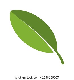 Ilustración Gráfico vectorial del icono de hoja