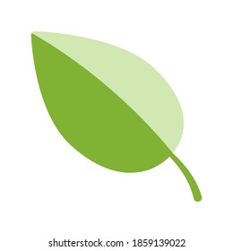 Ilustración Gráfico vectorial del icono de hoja