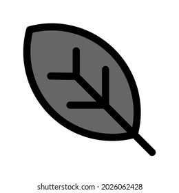 Icono de Ilustración del vector gráfico de hoja