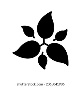 Illustration Vector Graphic of Leaf icon