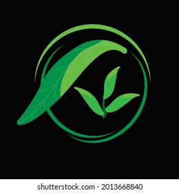 illustration vector graphic of leaves good of nature, eco, healt and  cosmetics