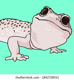 illustration vector graphic of leopard gecko. perfect for sticker,t shirt, clothes, and poster