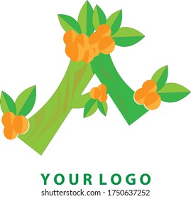 Illustration vector graphic of Letter A logo, With beautiful leaf and fruit decoration. good for your personal logo or business