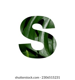Illustration Vector Graphic of Letter S. Letter of the Alphabet. Leaf Motif. EPS.