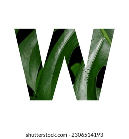 Illustration Vector Graphic of Letter W. Letter of the Alphabet. Leaf Motif. EPS.