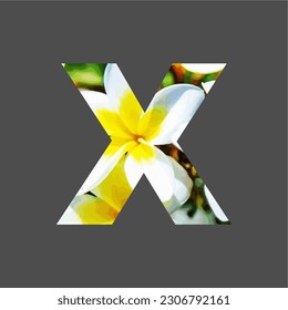 Gráfico vectorial de ilustración de la letra X. Carta del alfabeto. Motif De Flor. EPS.