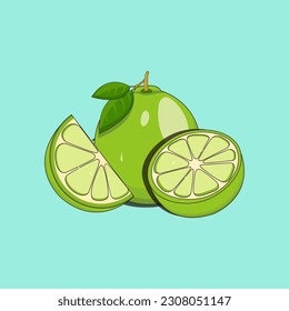 illustration vector graphic of lime, fit for food menu illustrations, paintings in the kitchen, wallpapers etc