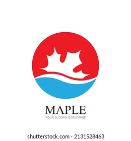 illustration vector graphic logo design for maple leaf