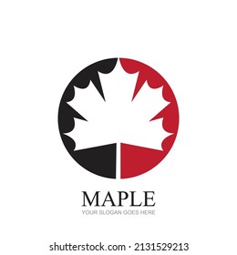 illustration vector graphic logo design for maple leaf