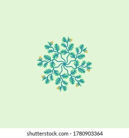 illustration vector graphic logo designs. seamless pattern leaves of cedar, pine, fir