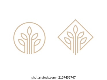 illustration vector graphic logo, leaf seeds grow. fit for nutrition products, etc.
