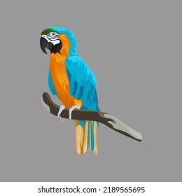 Gráfico vectorial de ilustración de un pájaro macaco en un fondo de color oscuro. adecuado para el diseño del logotipo, el diseño de la camisa, etc.