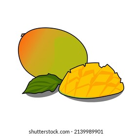 illustration vector graphic for mango fruit