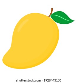 illustration vector graphic of mango. Good for food and drinks product.