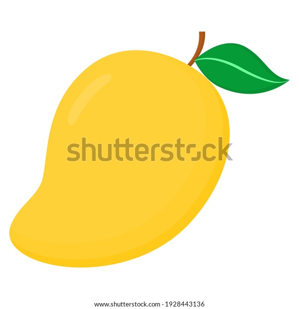 Illustration Vector Graphic Mango Good Food Stock Vector (Royalty Free ...