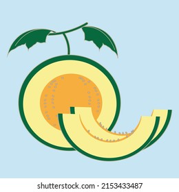 Illustration vector graphic of melon fruit, perfect for vitamin, healthy, natural, etc