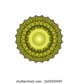 illustration vector graphic of Modern Decorative floral color mandala. Super vector round Shapes.  fit for logo, icon or symbol, etc