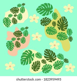 Illustration vector graphic of monstera leaves