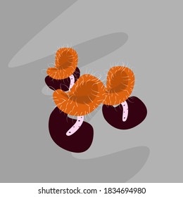 Illustration vector graphic of 
mushrooms