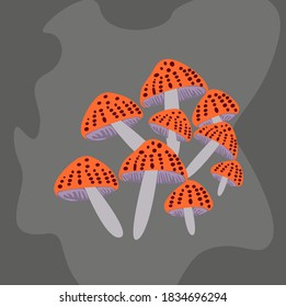 Illustration vector graphic of 
mushrooms 