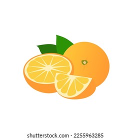 gráfico vectorial ilustrativo