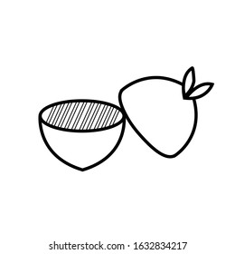 illustration vector graphic of 
orange perfect for 
nutrients in the body with lots of vitamin C