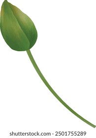 Ilustración Vector gráfico de tulipán naranja. Mejor para el diseño floral.