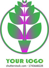 Illustration vector graphic of organic vegetable plantation logo. Great for the cabbage garden logos, spinach and other organic vegetables