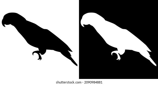 Illustration vector graphic of parrot icon. Black and white color. bird logo. Simple flat image. Transparent background